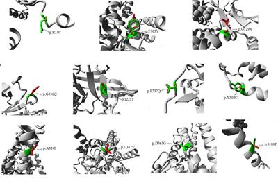 Clinical, Biochemical, and Molecular Analyses of Medium-Chain Acyl-CoA Dehydrogenase Deficiency in Chinese Patients